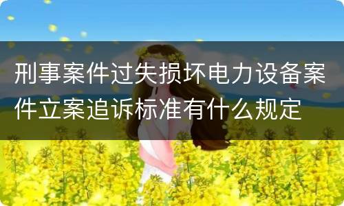 刑事案件过失损坏电力设备案件立案追诉标准有什么规定