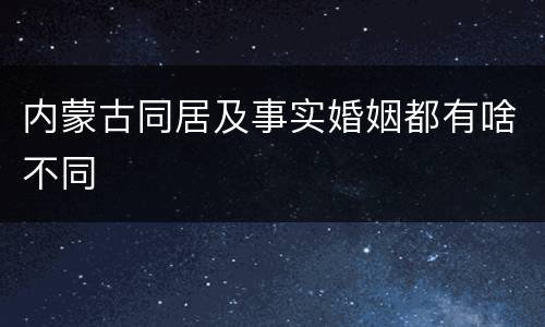 内蒙古同居及事实婚姻都有啥不同