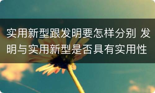 实用新型跟发明要怎样分别 发明与实用新型是否具有实用性