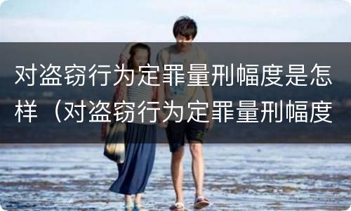 对盗窃行为定罪量刑幅度是怎样（对盗窃行为定罪量刑幅度是怎样定的）