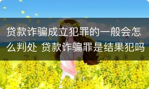 贷款诈骗成立犯罪的一般会怎么判处 贷款诈骗罪是结果犯吗
