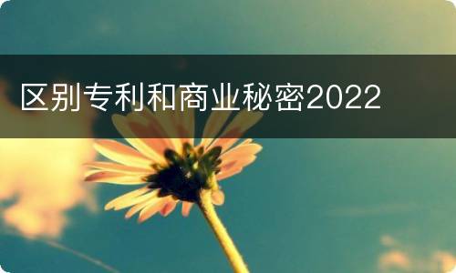 区别专利和商业秘密2022