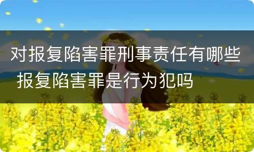 对报复陷害罪刑事责任有哪些 报复陷害罪是行为犯吗