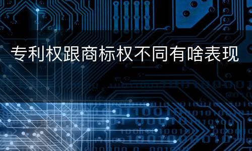 专利权跟商标权不同有啥表现