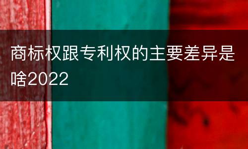 商标权跟专利权的主要差异是啥2022