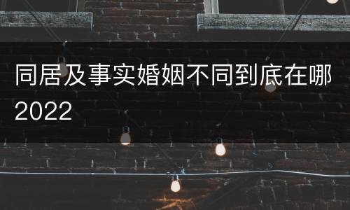 同居及事实婚姻不同到底在哪2022