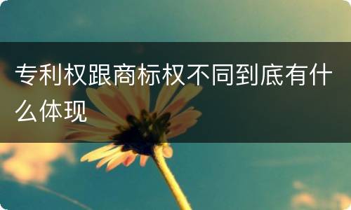 专利权跟商标权不同到底有什么体现