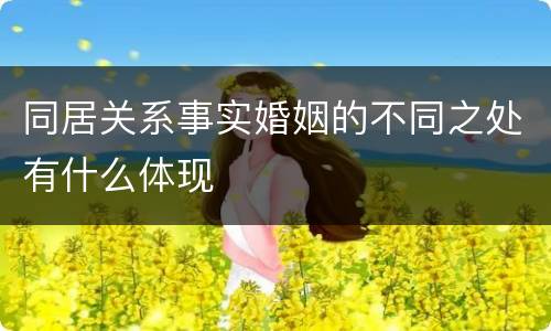 同居关系事实婚姻的不同之处有什么体现