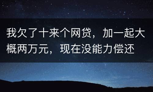 我欠了十来个网贷，加一起大概两万元，现在没能力偿还