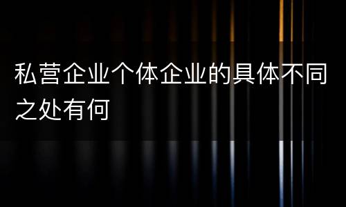 私营企业个体企业的具体不同之处有何