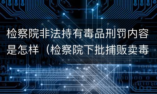 检察院非法持有毒品刑罚内容是怎样（检察院下批捕贩卖毒品罪）