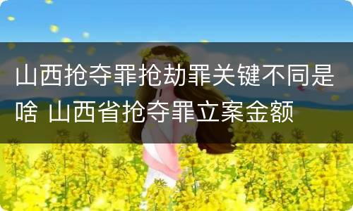 山西抢夺罪抢劫罪关键不同是啥 山西省抢夺罪立案金额