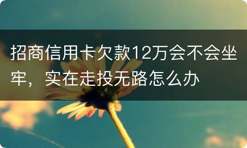 招商信用卡欠款12万会不会坐牢，实在走投无路怎么办