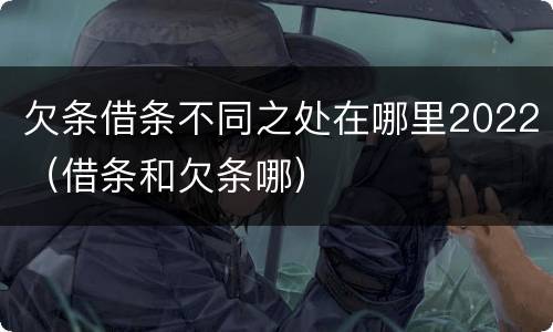 欠条借条不同之处在哪里2022（借条和欠条哪）