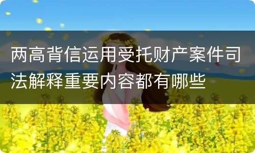两高背信运用受托财产案件司法解释重要内容都有哪些
