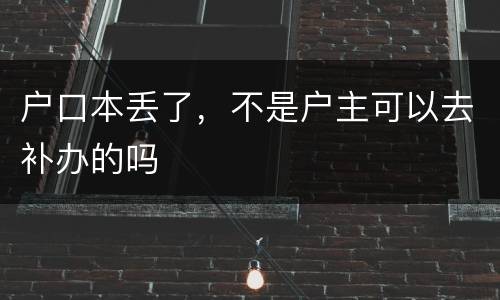户口本丢了，不是户主可以去补办的吗