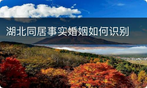 湖北同居事实婚姻如何识别