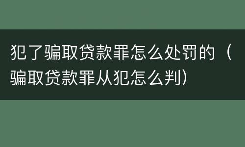 犯了骗取贷款罪怎么处罚的（骗取贷款罪从犯怎么判）