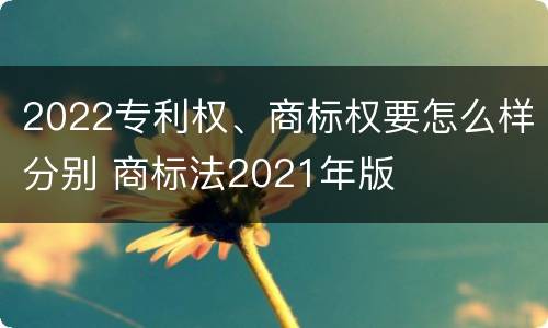 2022专利权、商标权要怎么样分别 商标法2021年版