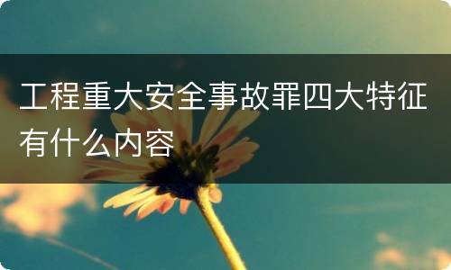 工程重大安全事故罪四大特征有什么内容