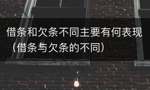 借条和欠条不同主要有何表现（借条与欠条的不同）