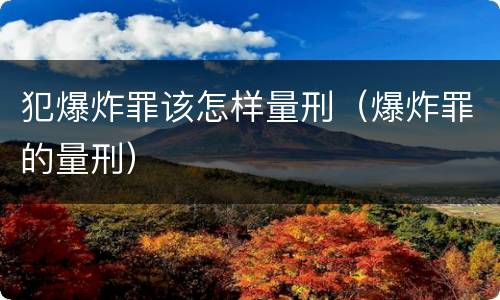 犯爆炸罪该怎样量刑（爆炸罪的量刑）