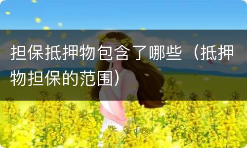 担保抵押物包含了哪些（抵押物担保的范围）