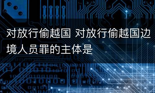 对放行偷越国 对放行偷越国边境人员罪的主体是