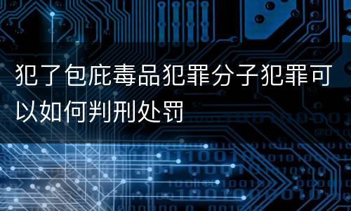 犯了包庇毒品犯罪分子犯罪可以如何判刑处罚