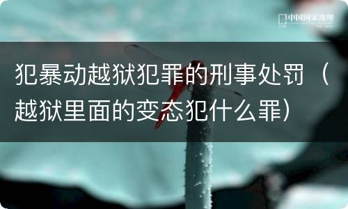 犯暴动越狱犯罪的刑事处罚（越狱里面的变态犯什么罪）