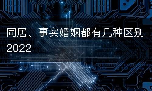 同居、事实婚姻都有几种区别2022