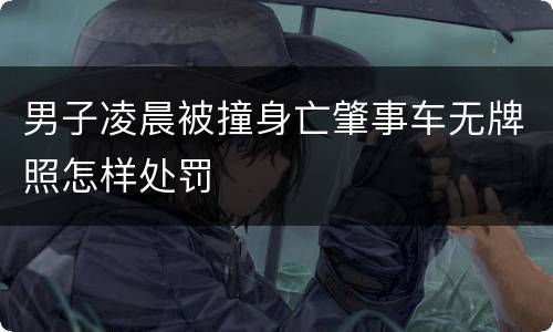 男子凌晨被撞身亡肇事车无牌照怎样处罚