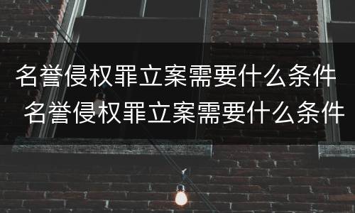 名誉侵权罪立案需要什么条件 名誉侵权罪立案需要什么条件才能立案