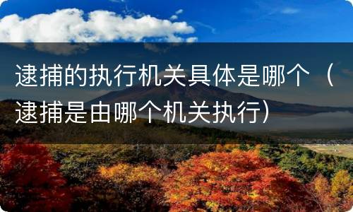 逮捕的执行机关具体是哪个（逮捕是由哪个机关执行）