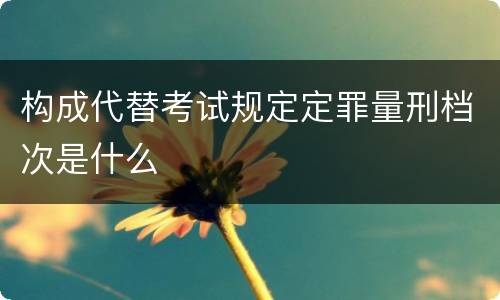 构成代替考试规定定罪量刑档次是什么