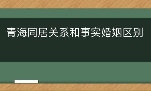青海同居关系和事实婚姻区别