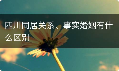 四川同居关系、事实婚姻有什么区别