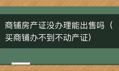 商铺房产证没办理能出售吗（买商铺办不到不动产证）