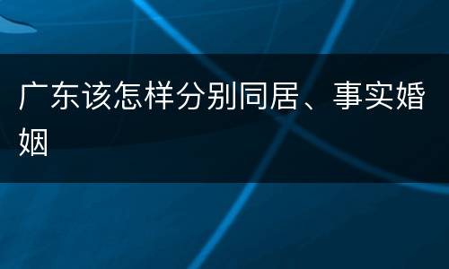 广东该怎样分别同居、事实婚姻