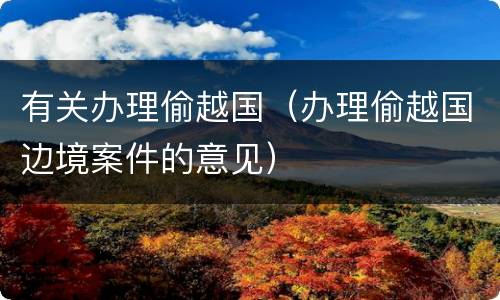 有关办理偷越国（办理偷越国边境案件的意见）