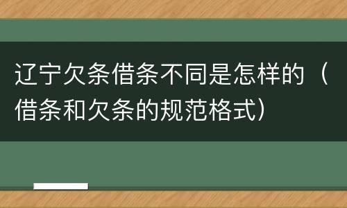 辽宁欠条借条不同是怎样的（借条和欠条的规范格式）