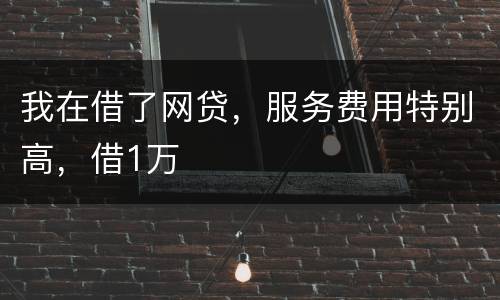 我在借了网贷，服务费用特别高，借1万