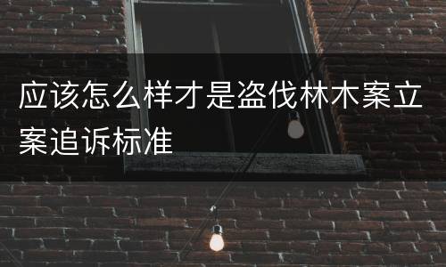 应该怎么样才是盗伐林木案立案追诉标准