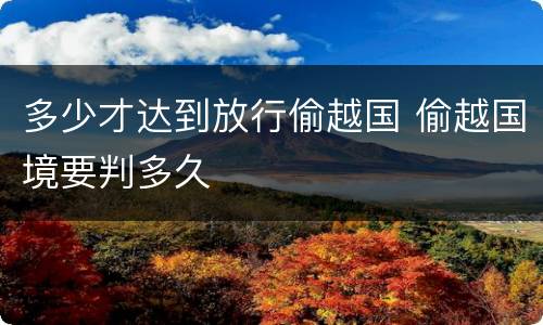 多少才达到放行偷越国 偷越国境要判多久