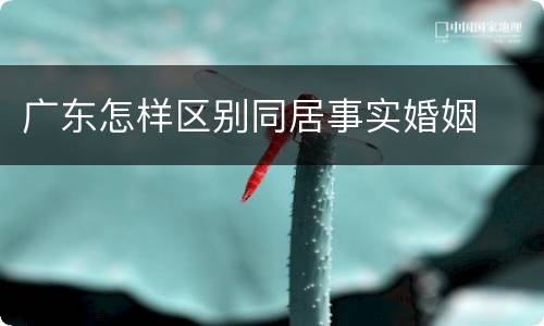 广东怎样区别同居事实婚姻