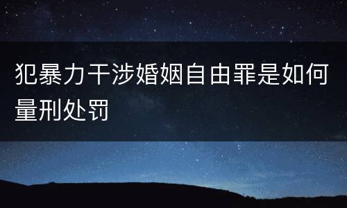 犯暴力干涉婚姻自由罪是如何量刑处罚