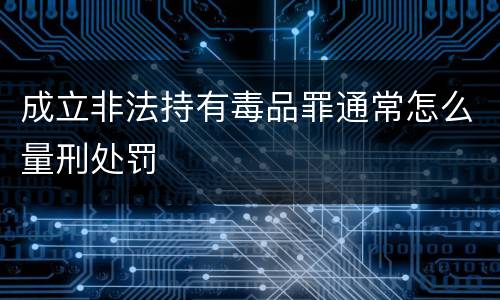成立非法持有毒品罪通常怎么量刑处罚