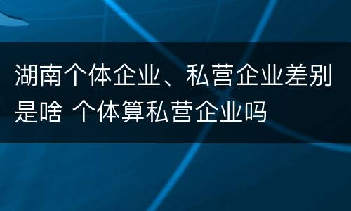 湖南个体企业、私营企业差别是啥 个体算私营企业吗