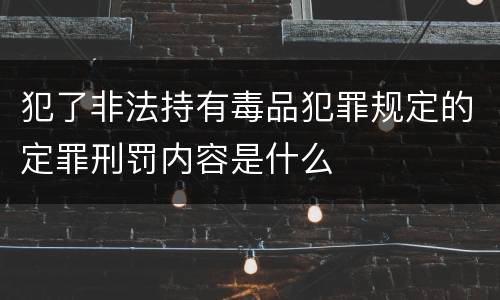 犯了非法持有毒品犯罪规定的定罪刑罚内容是什么