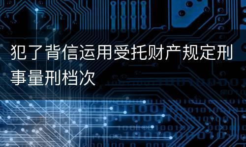 犯了背信运用受托财产规定刑事量刑档次